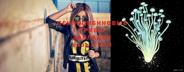 тгк Нефтекумск