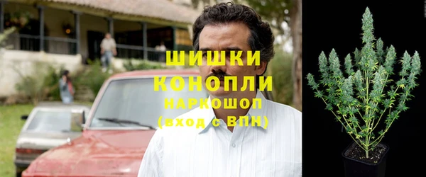 марки lsd Белокуриха