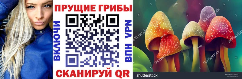 Псилоцибиновые грибы мицелий  дарнет шоп  Кирс 